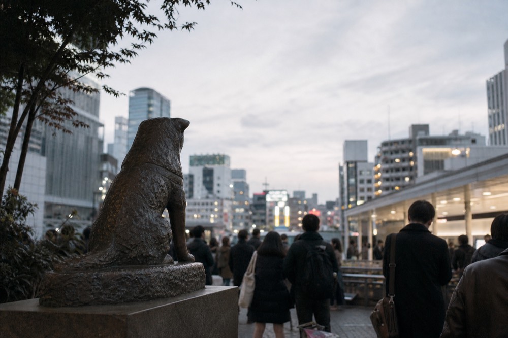 Bronze statue of a seated dog on a low plinth in a busy station plaza with people waiting nearby