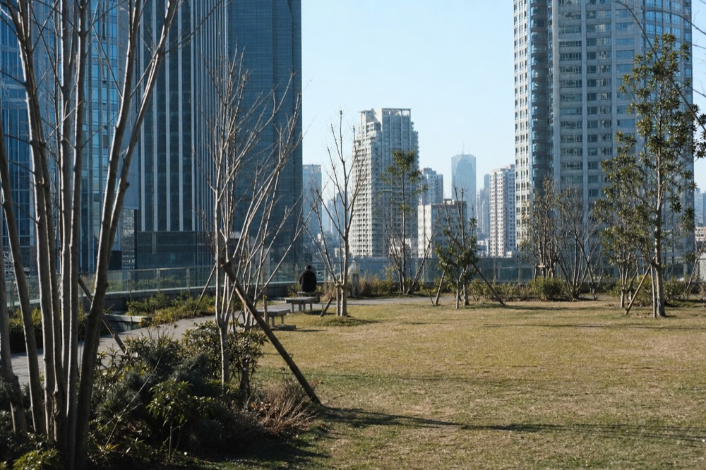 Elevated urban park with lawn, young trees and city towers rising directly behind it on a bright afternoon